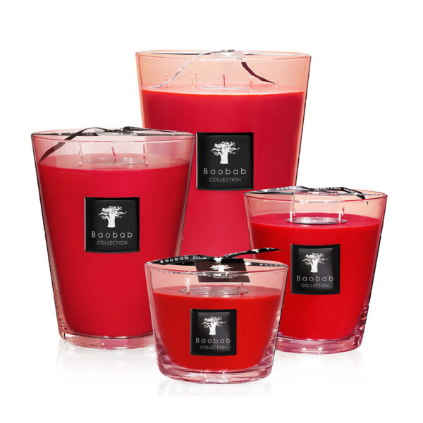 All Seasons Masaai Spirit